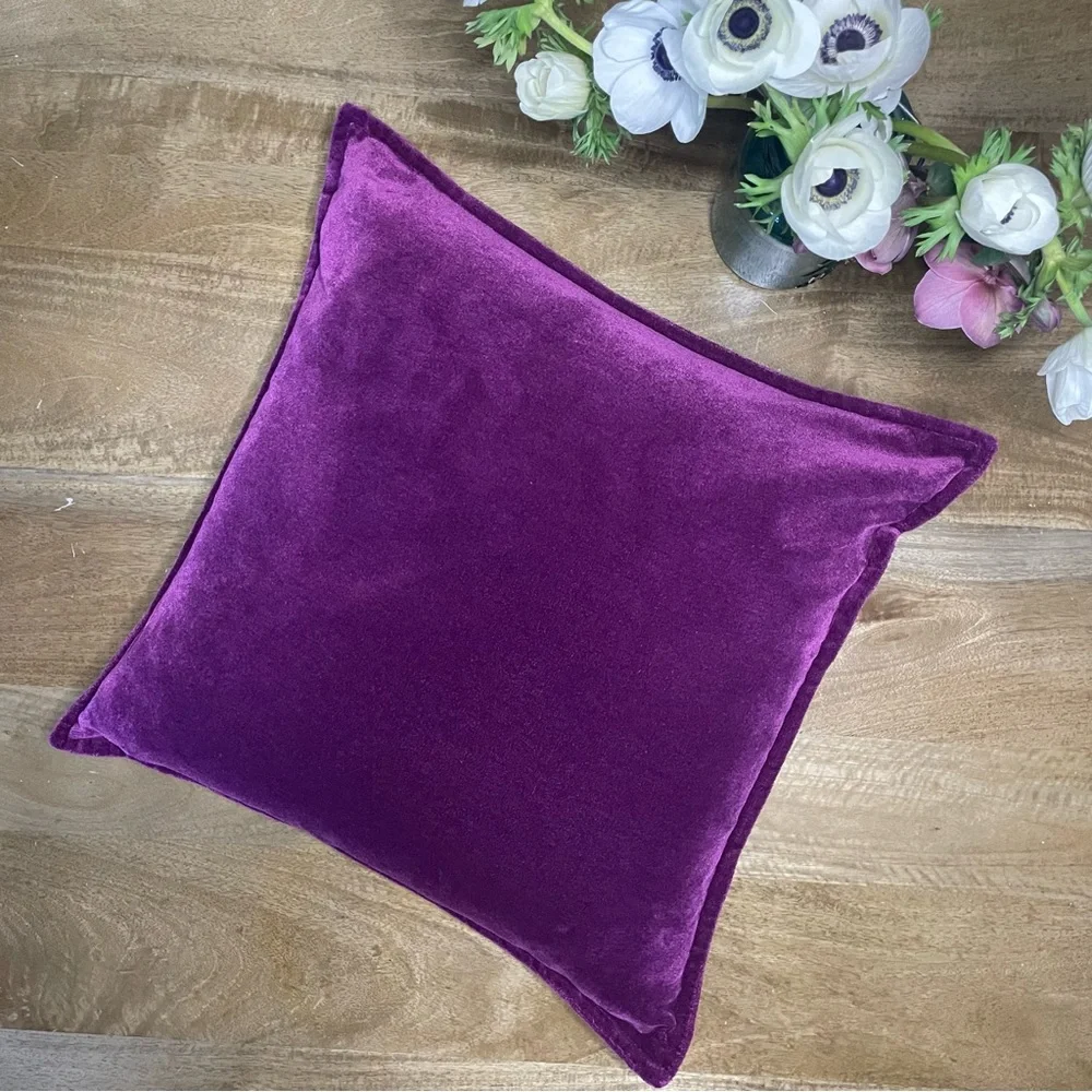 Crate & Barrel Velvet Pillow